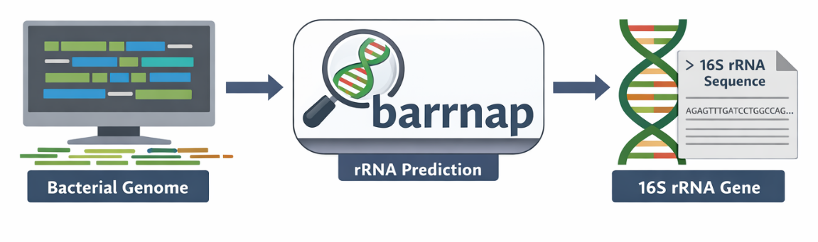 16s-from-genome