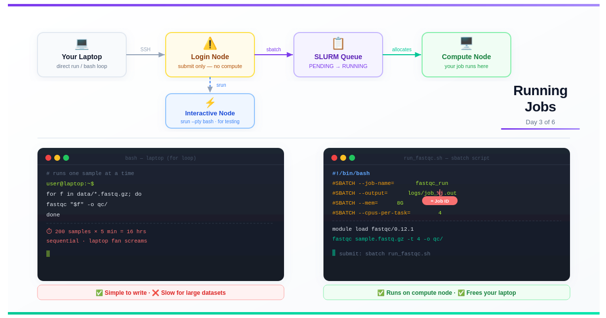 Laptop vs HPC: Scaling Computational Biology