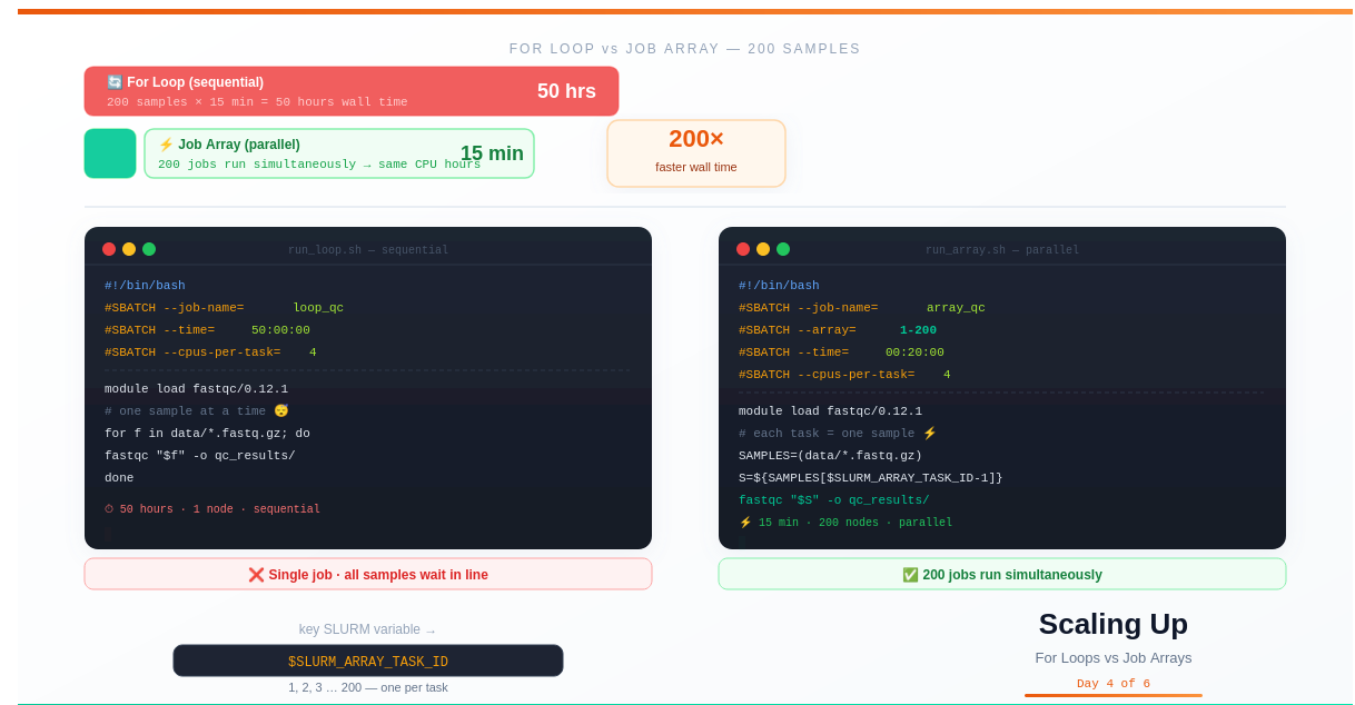Laptop vs HPC: Scaling Computational Biology
