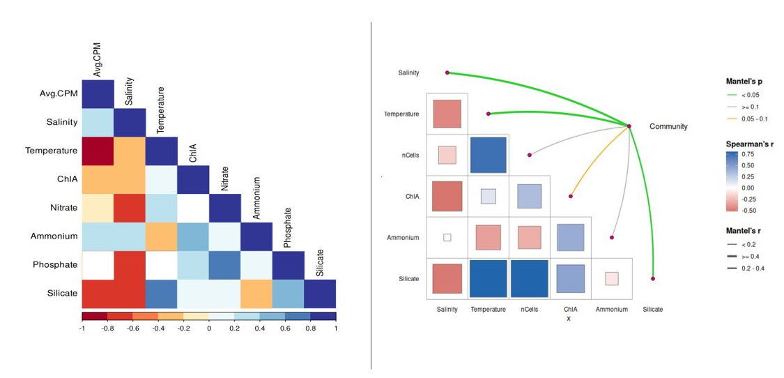 Correlation and Mantel Test