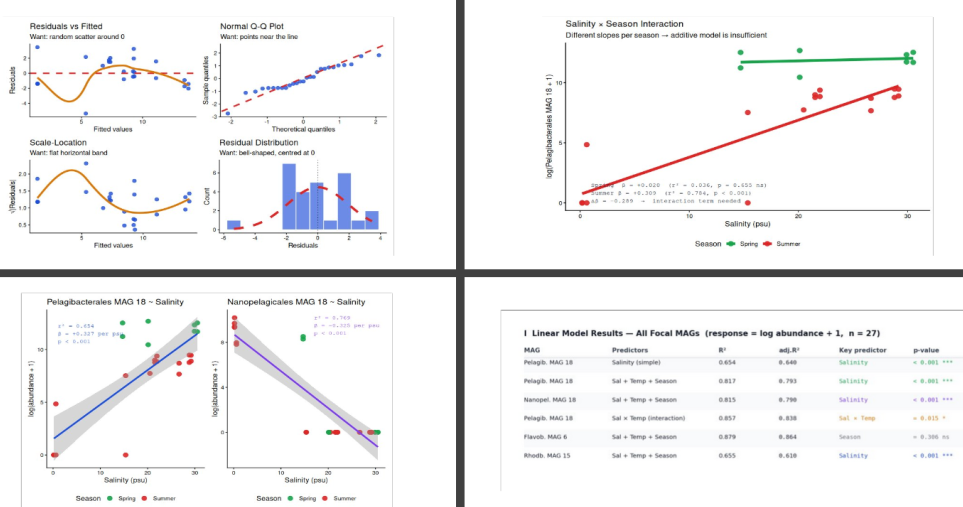 Linear Regression Anlysis