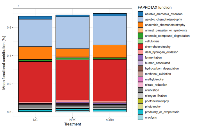 functioal_prediction