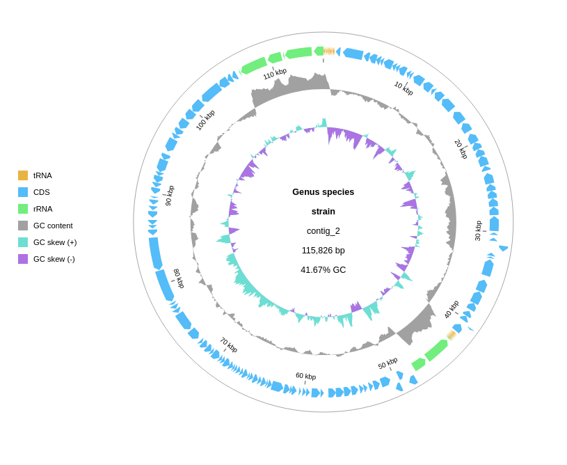 see_your_Genome