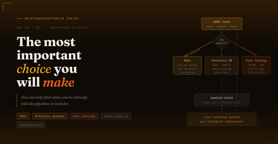 Day2 metatrnscriptome