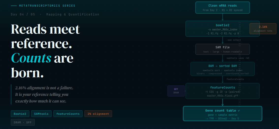 Day4 metatrnscriptome