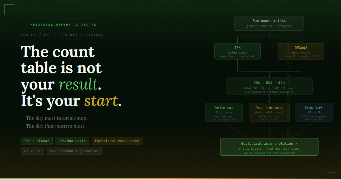 Day5 metatrnscriptome