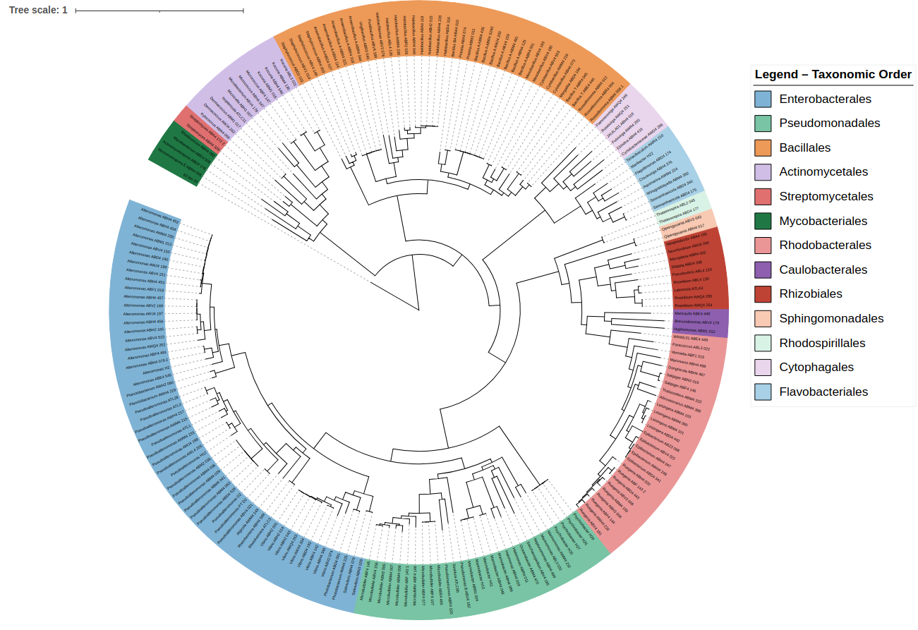 tree taxonomy