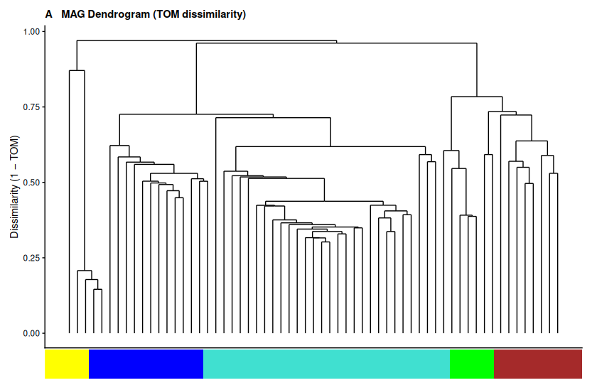 WGCNA MAG Co-Abundance Networks