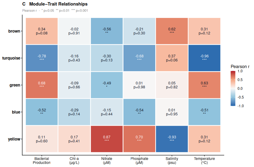 WGCNA MAG Co-Abundance Networks