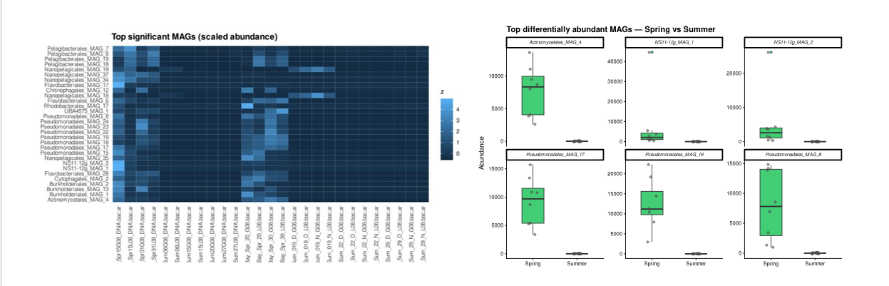 ERMANOVA analysis of MAG community composition across seasons and estuaries